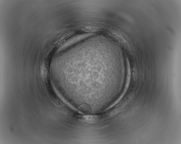 X0000112890371200909111509