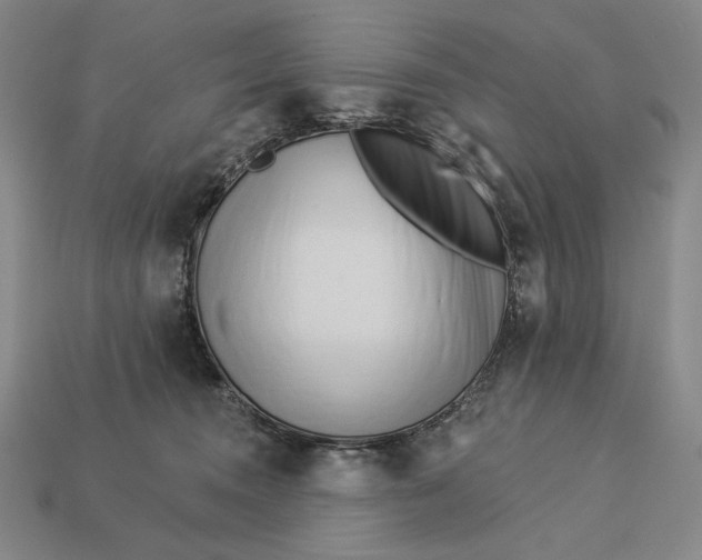 X0000112890372200909111509