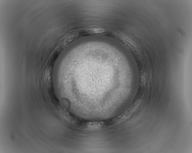 X0000112890373200909111509