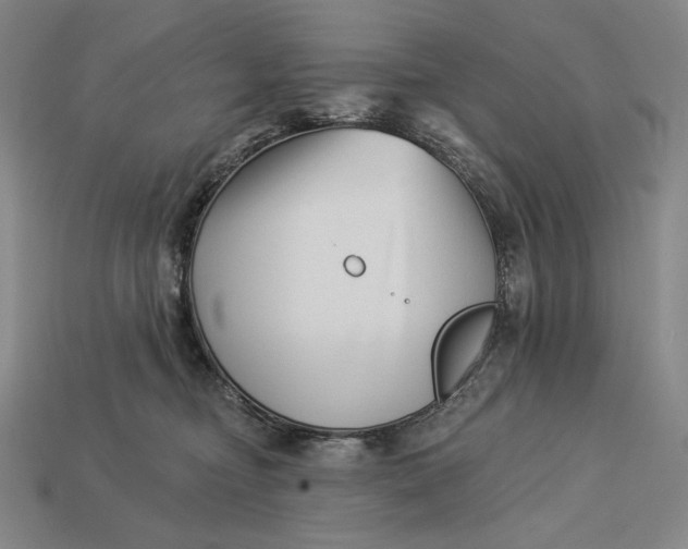 X0000112890374200909111509