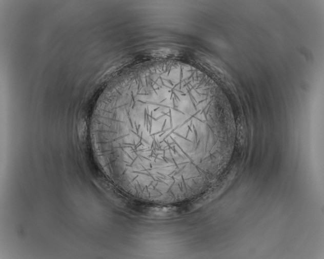 X0000112890375200909111509