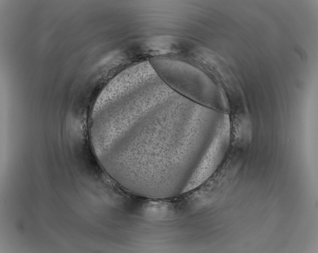 X0000112890376200909111509