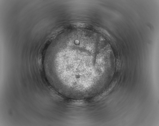 X0000112890377200909111509