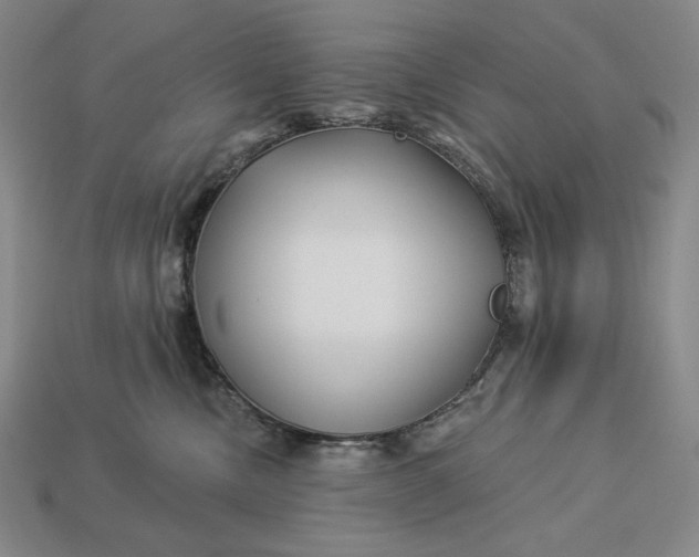 X0000112890378200909111509