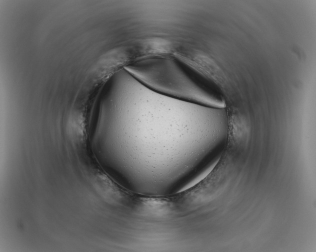 X0000112890380200909111509