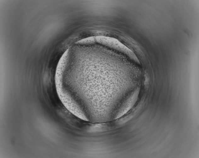 X0000112890382200909111509