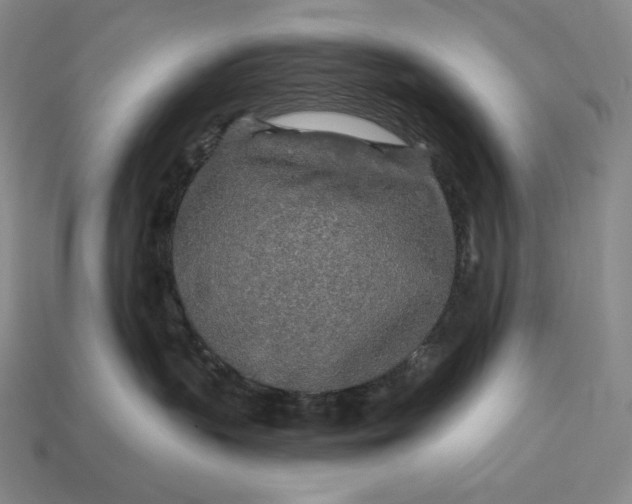 X0000112890383200909111509