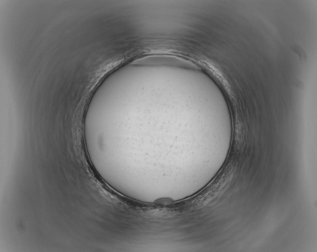 X0000112890385200909111508