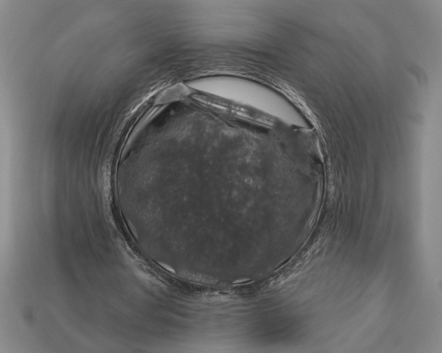 X0000112890386200909111508