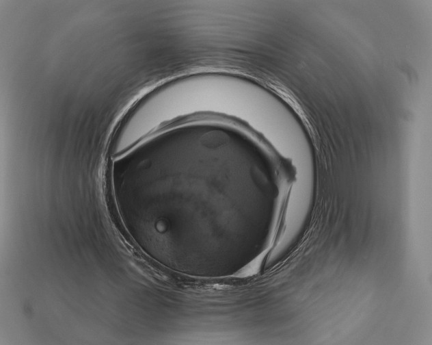 X0000112890387200909111508