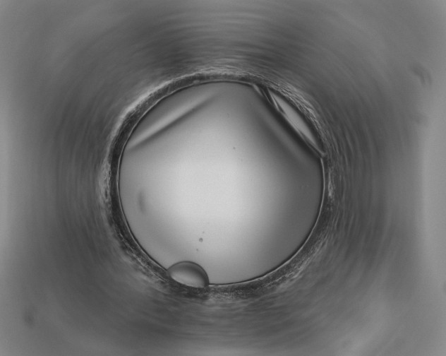X0000112890388200909111508