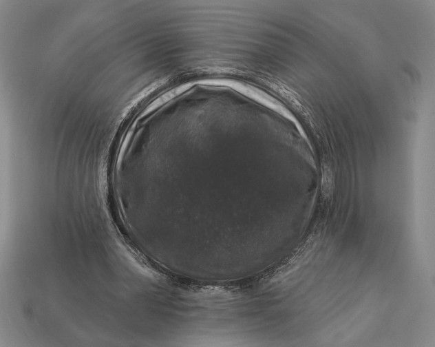 X0000112890390200909111508