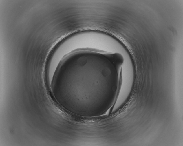 X0000112890391200909111508