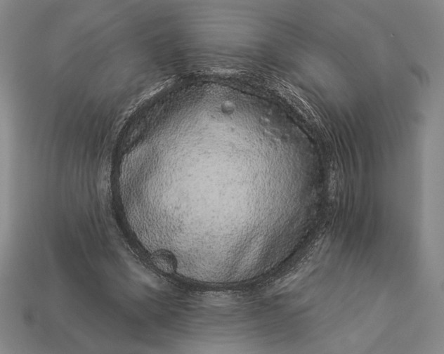 X0000112890394200909111508