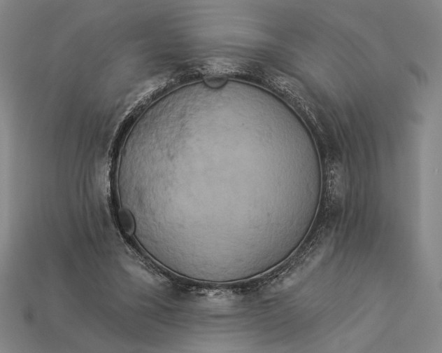 X0000112890395200909111508