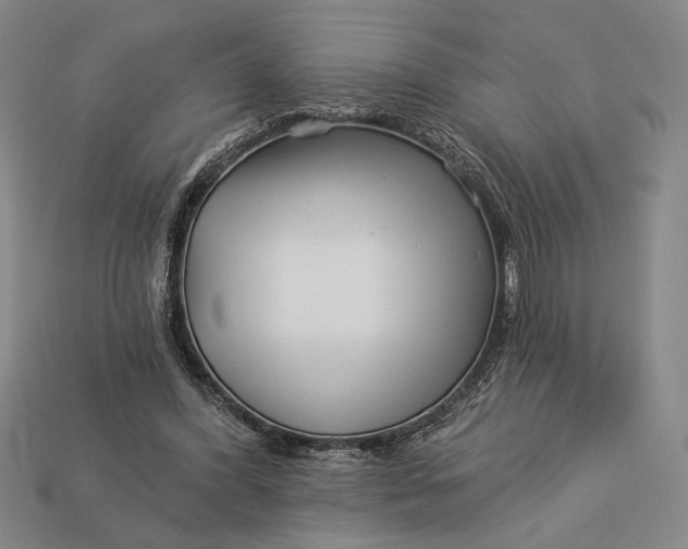 X0000112890396200909111508