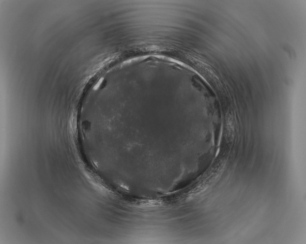 X0000112890398200909111508