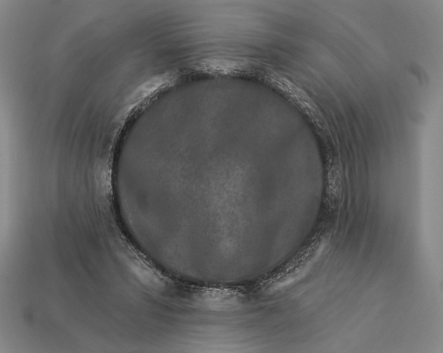 X0000112890399200909111508