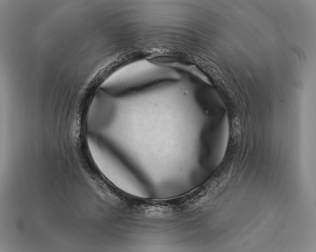 X0000112890400200909111508