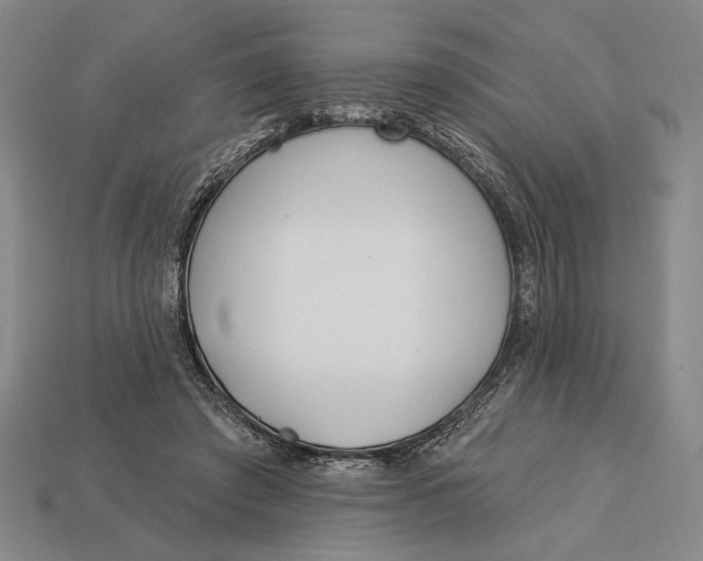 X0000112890401200909111508