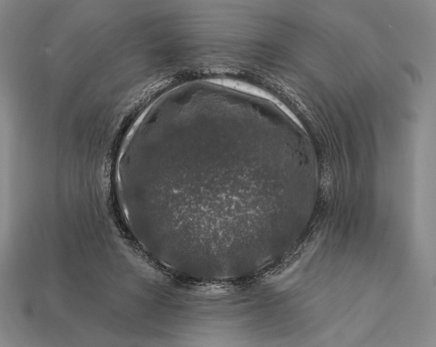 X0000112890402200909111508