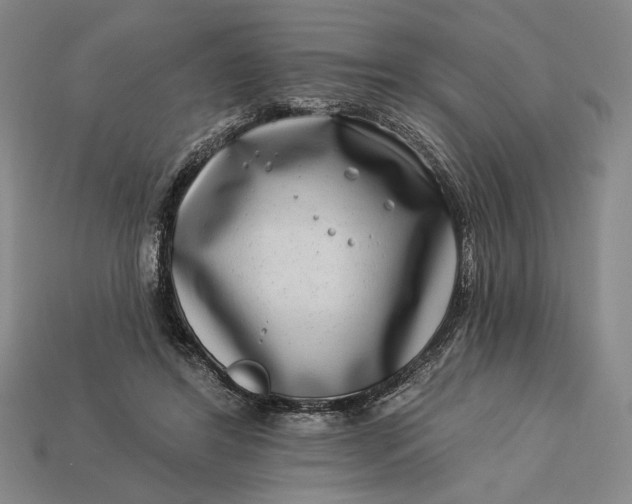 X0000112890404200909111508