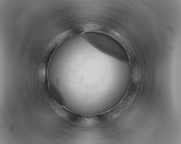 X0000112890405200909111508