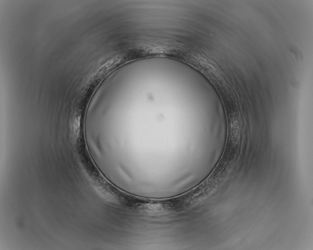 X0000112890406200909111508