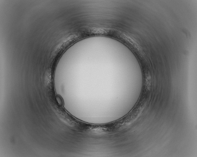 X0000112890407200909111508