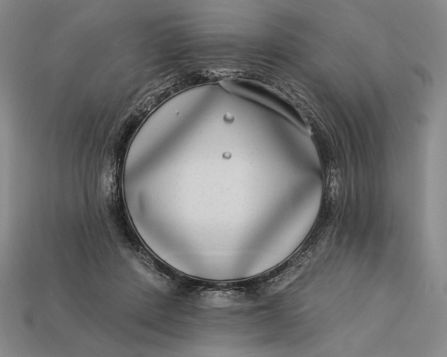 X0000112890408200909111508