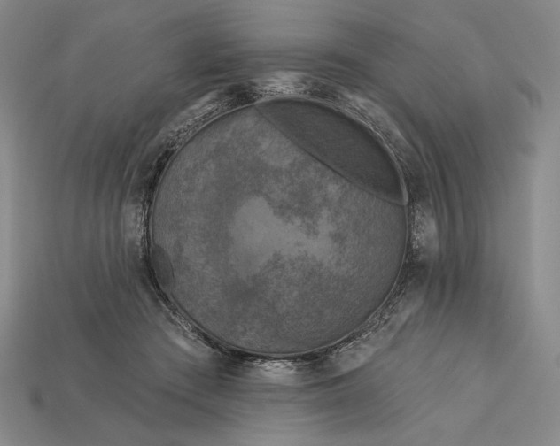 X0000112890409200909111508