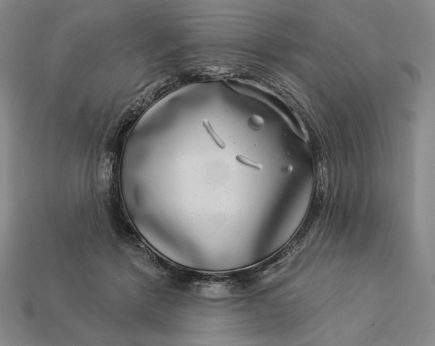 X0000112890412200909111508