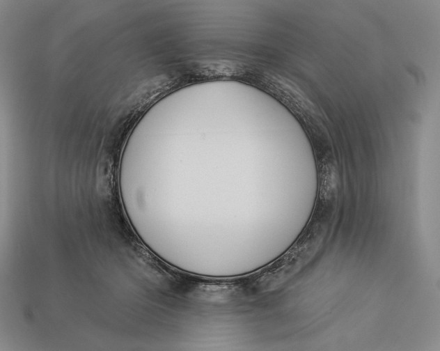 X0000112890414200909111508