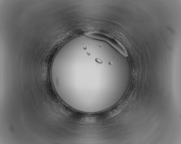 X0000112890416200909111508