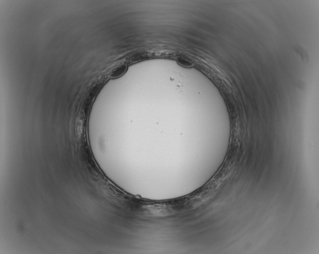 X0000112890417200909111508