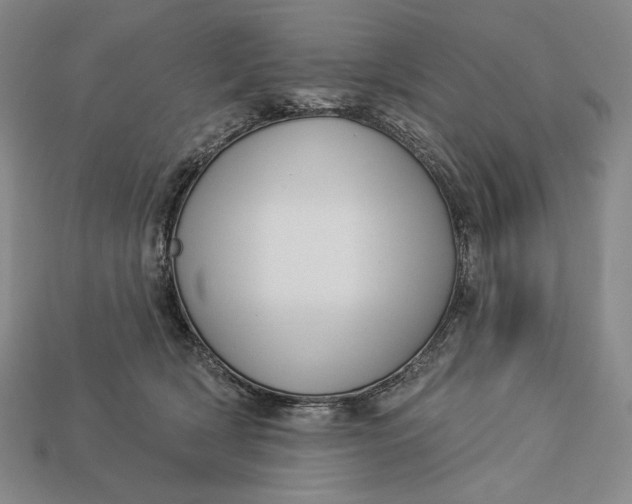 X0000112890418200909111508