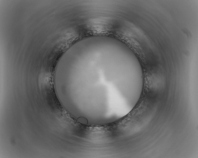 X0000112890419200909111508