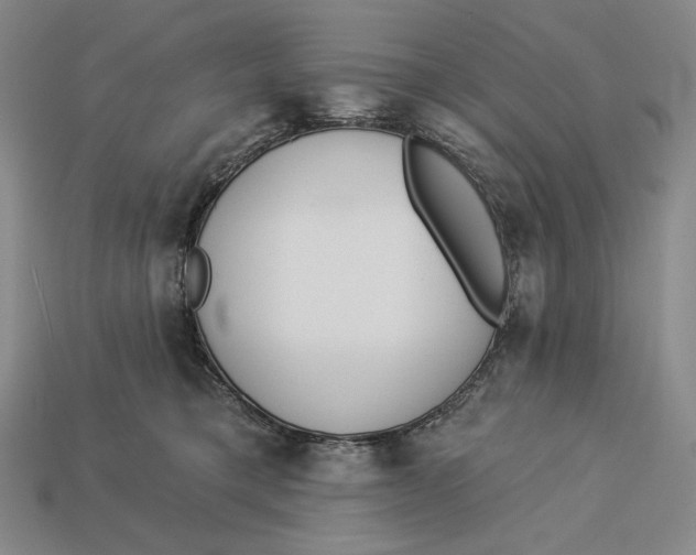 X0000112890421200909111508