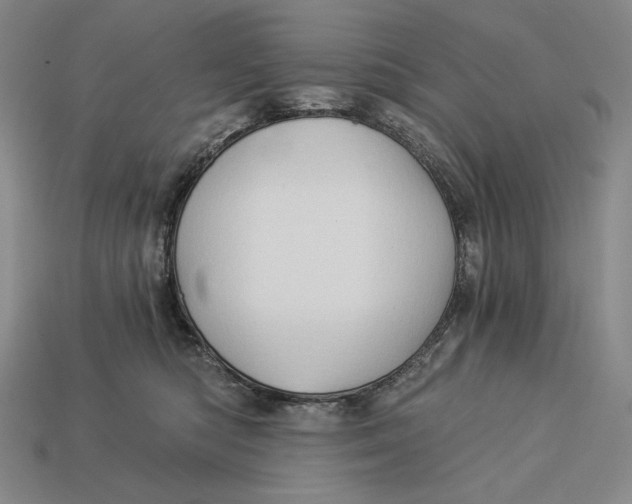 X0000112890422200909111508