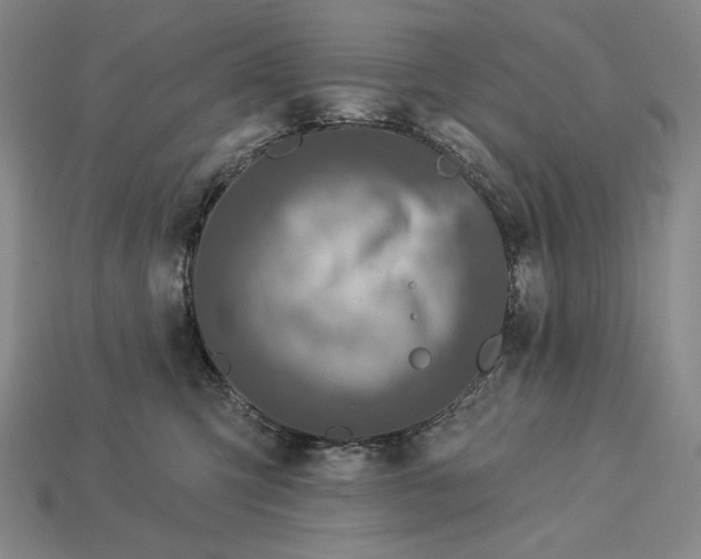 X0000112890423200909111508