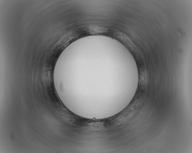X0000112890426200909111508