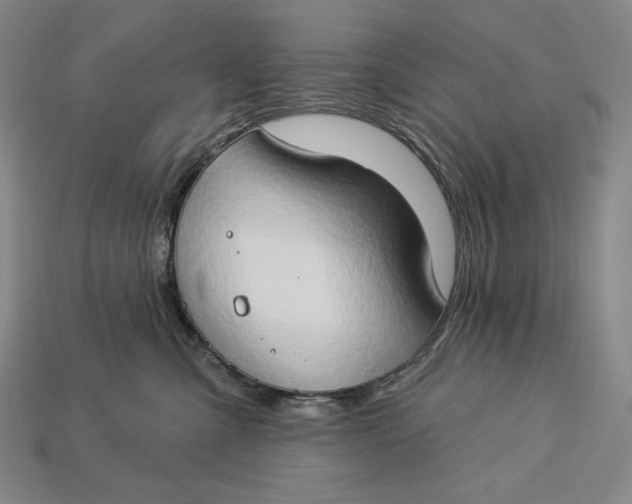 X0000112890427200909111508