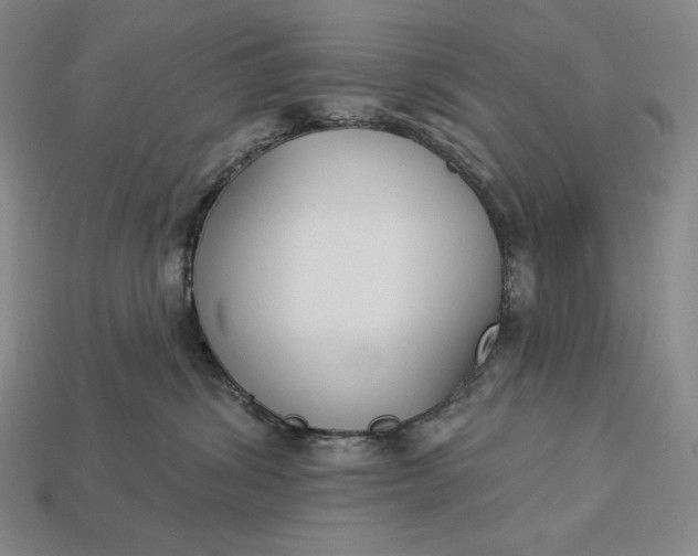 X0000112890428200909111508