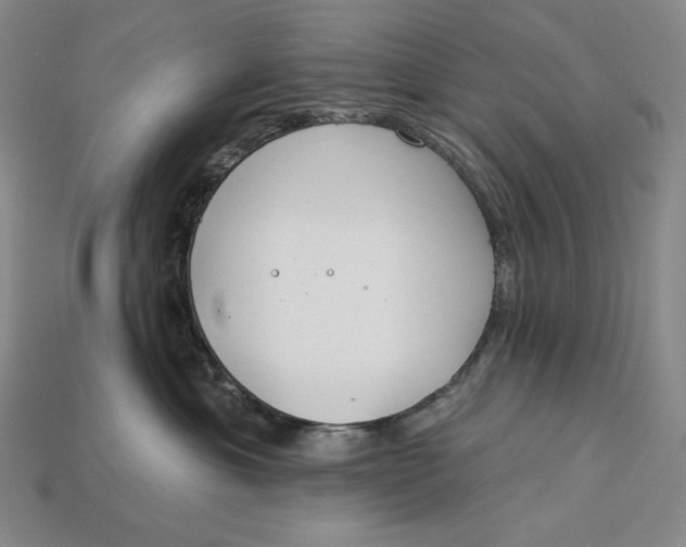 X0000112890429200909111508