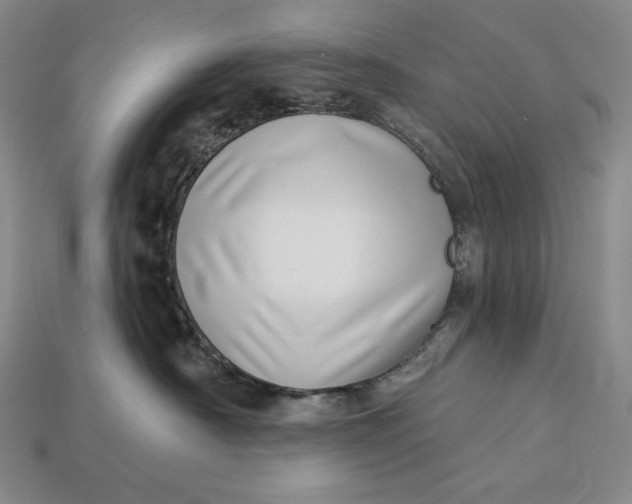 X0000112890430200909111507
