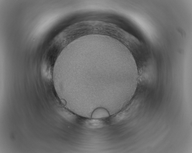 X0000112890431200909111507