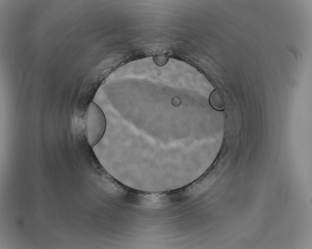 X0000112890432200909111507