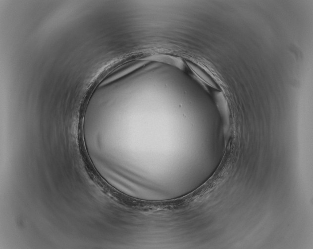 X0000112890434200909111507