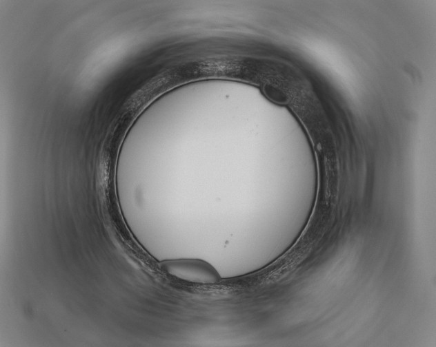 X0000112890435200909111507