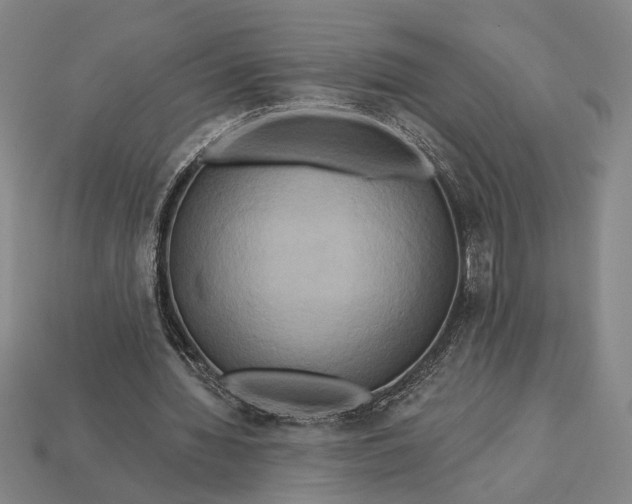 X0000112890436200909111507